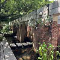 【兵庫/神戸】神戸布引ハーブ園
