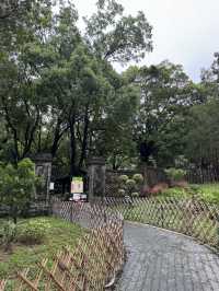 Tranquility Amid the Bustle: Walled City Park