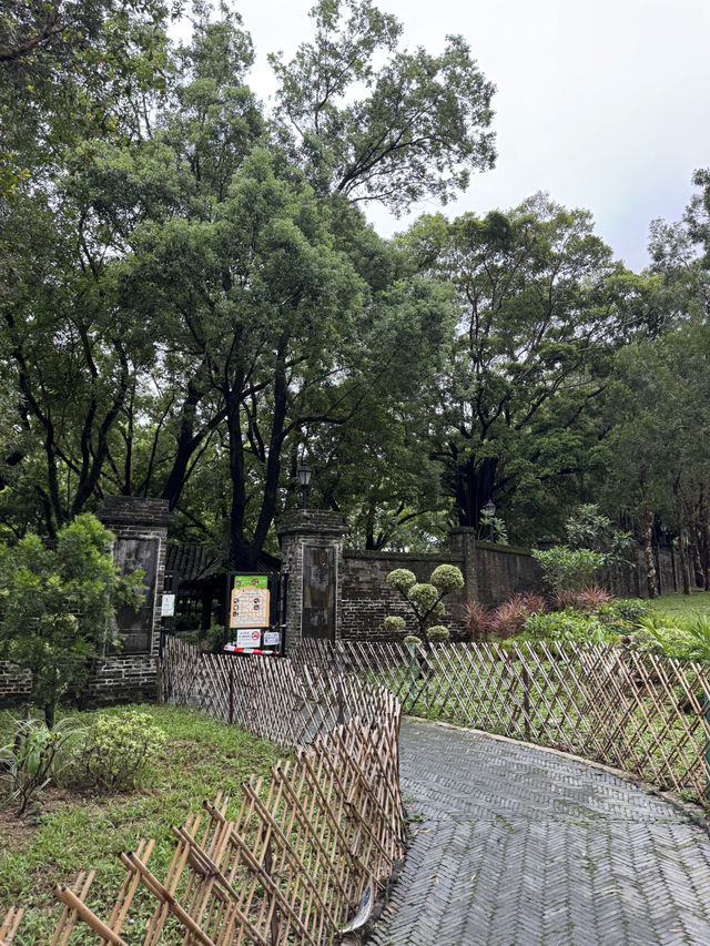 Tranquility Amid the Bustle: Walled City Park