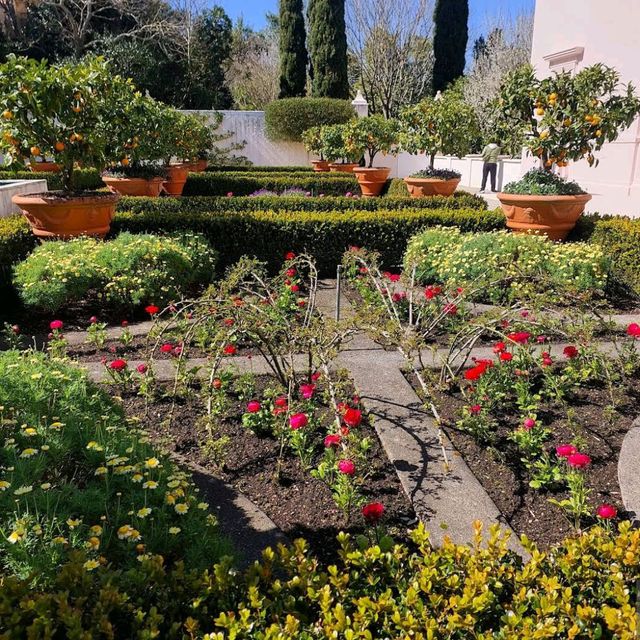 Hamilton Gardens 🌺