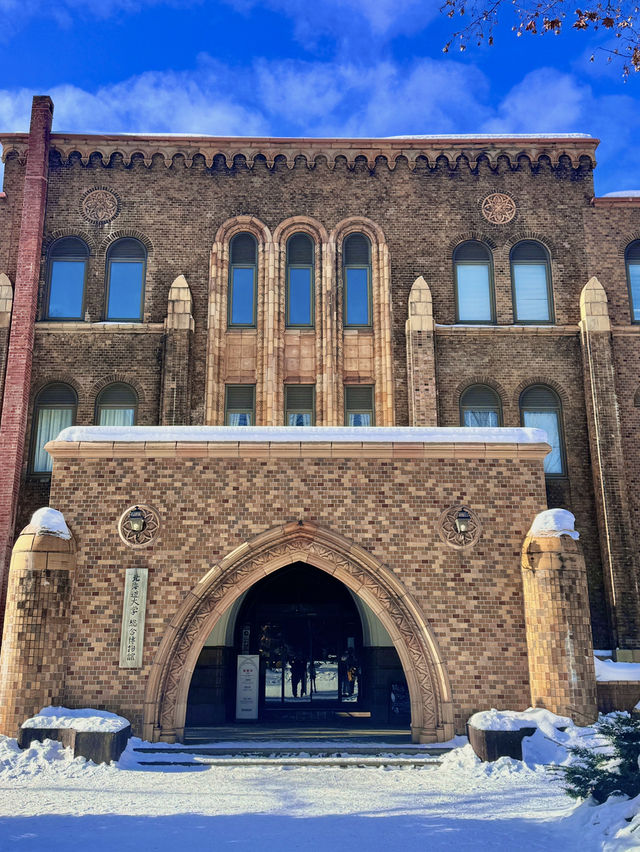 ❄️ 겨울 낭만 가득한 삿포로 여행 ✨☃️  ❄️ 겨울 낭만 가득한 삿포로 여행 ✨☃️