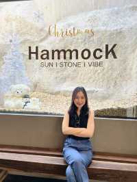 Hammock Café พิษณุโลก🪨🌳