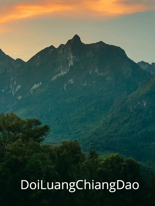 ดอยหลวงเชียงดาว