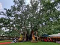 🌳 Ancient Bodhi & Healing Heritage