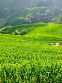 Beyond the Fields: The Soul of Longji Lives in Its People
