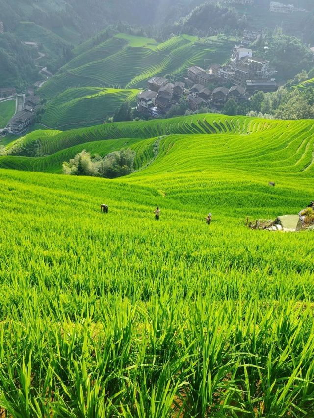 Beyond the Fields: The Soul of Longji Lives in Its People