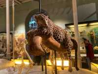 🏛️ Discover Wonders at the National Museum of Scotland ✨