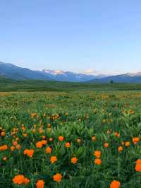 Golden Leaves, Crystal Lakes: The Colors of Altay