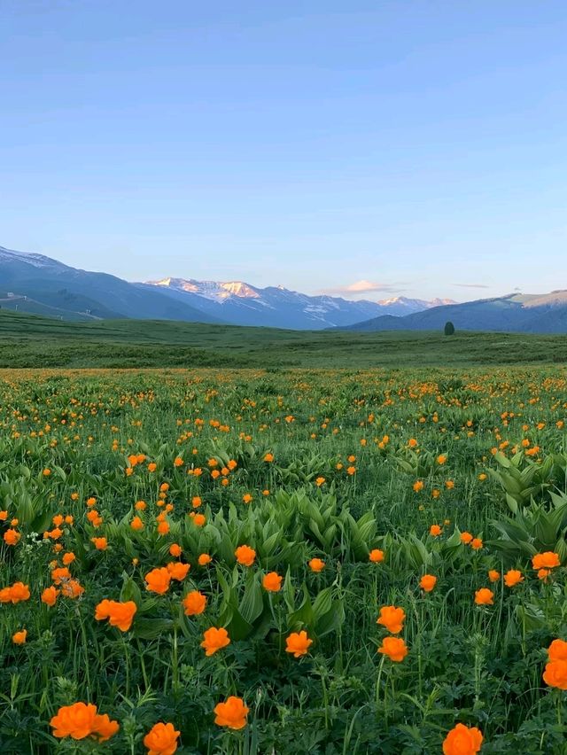 Golden Leaves, Crystal Lakes: The Colors of Altay