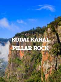 KODAIKANAL TEIP