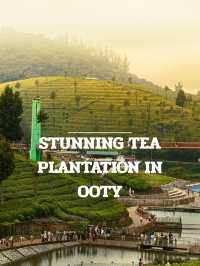 OOTY TRIP