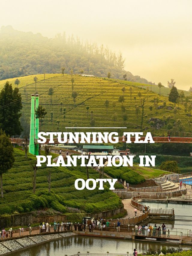 OOTY TRIP