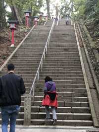 🚡高尾山一日遊：纜車體驗×登山散策×美食享受