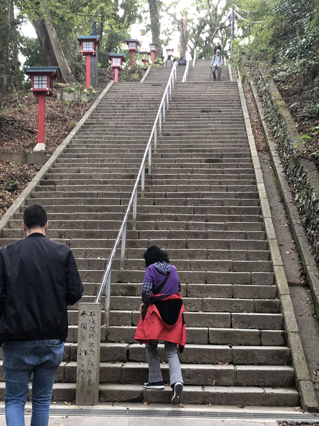 🚡高尾山一日遊：纜車體驗×登山散策×美食享受