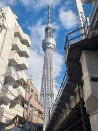 A Memorable Visit to Tokyo Tower