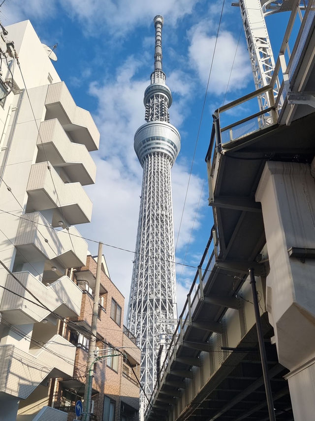 A Memorable Visit to Tokyo Tower