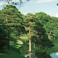 荒崎公園絕美湖泊🌲  