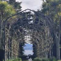 Larnach Castle