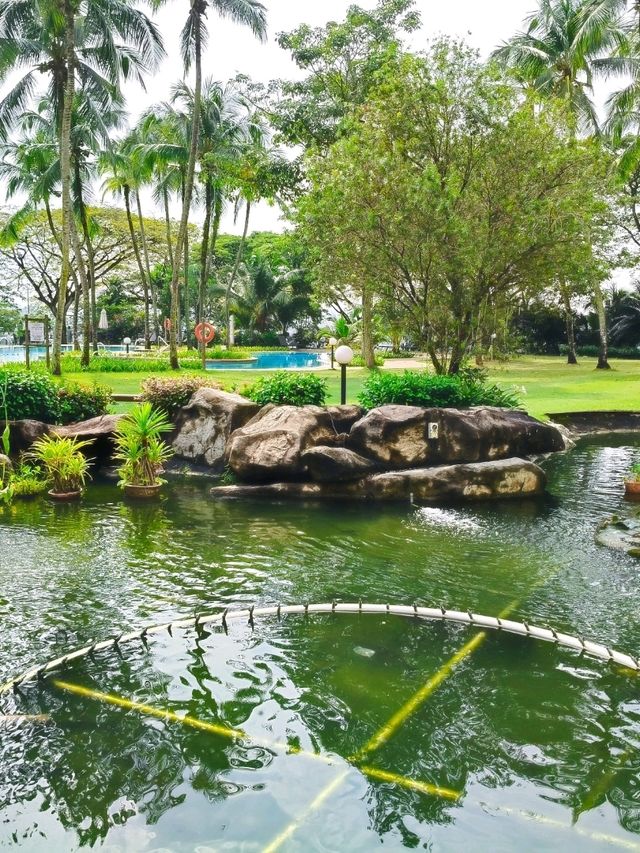 Discover Relax Hotel 🏨 Rainy Green Escape🌴