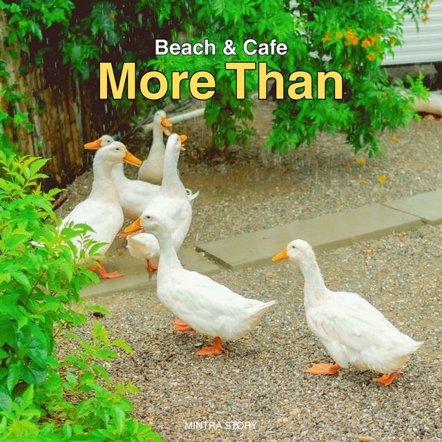 More Than Beach & Cafe