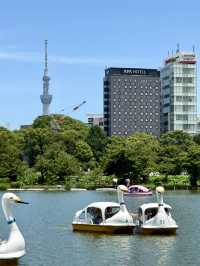 🍃 Park Stroll & Gourmet Finds in Ueno