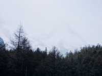 Exploring Yading Nature Reserve