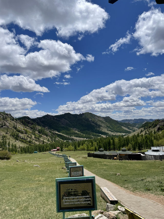 追尋成吉思汗的金馬鞭與普氏野馬