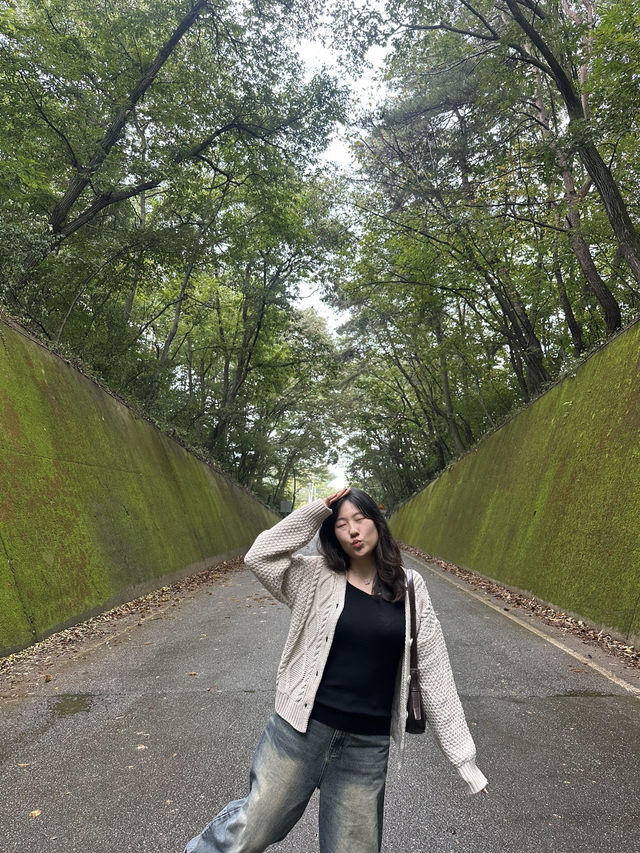 📍 단양 감성여행 코스