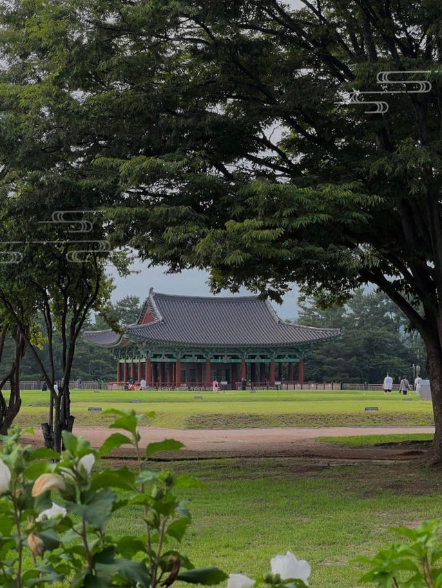🌿 A Day in Gyeongju – Korea’s Ancient Capital 🌿