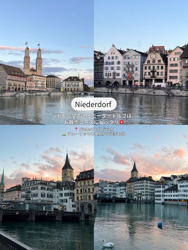 【スイス旅行🇨🇭】チューリッヒ観光まとめ🦢🪄 【スイス旅行🇨🇭】チューリッヒ観光まとめ🦢🪄