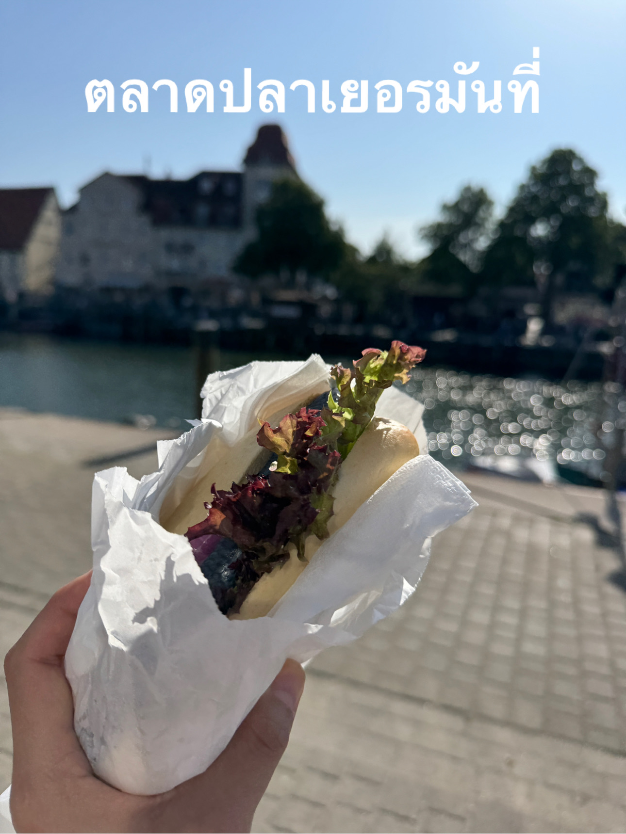 Fish market in Germany
