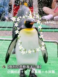 🐧【登別尼克斯海洋公園】親子必去!企鵝巡遊+沙丁魚風暴+童話城堡水族館