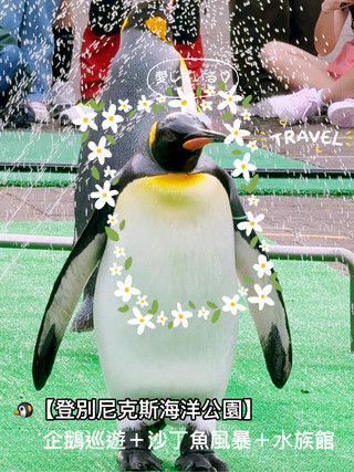 🐧【登別尼克斯海洋公園】親子必去！企鵝巡遊＋沙丁魚風暴＋童話城堡水族館