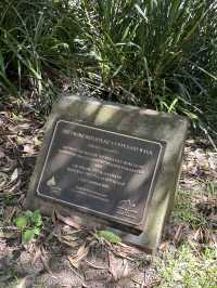 🌳 探訪「總理森林步道Prime Ministers’ Walk」：城市中的森林漫遊