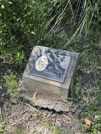 🌳 探訪「總理森林步道Prime Ministers’ Walk」：城市中的森林漫遊