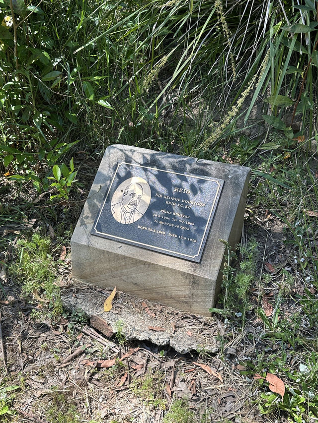 🌳 探訪「總理森林步道Prime Ministers’ Walk」：城市中的森林漫遊