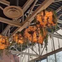 Le Vaisseau – Where Science Comes Alive for All Ages