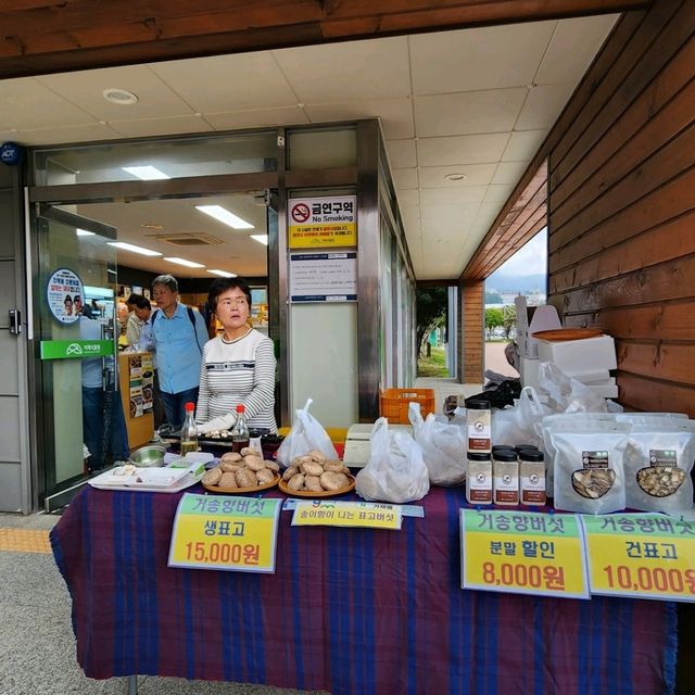 🪩南韓第二外島的玻璃巨蛋植物園&風之熱狗