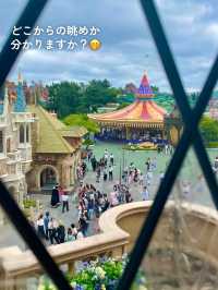 【 私の大好きなディズニーランド🎄 】