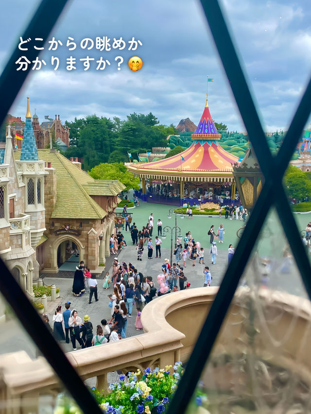 【 私の大好きなディズニーランド🎄 】