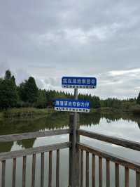 Kunming Wetlands🌧️  