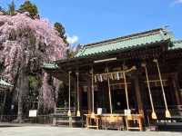 【宮城】仙台東照宮