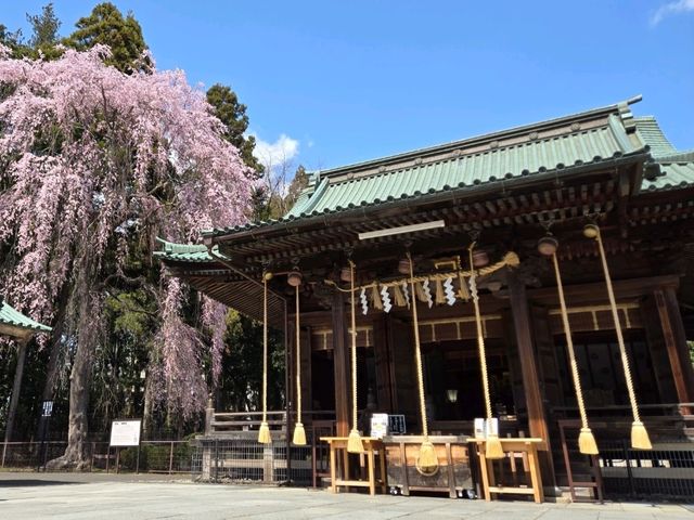 【宮城】仙台東照宮