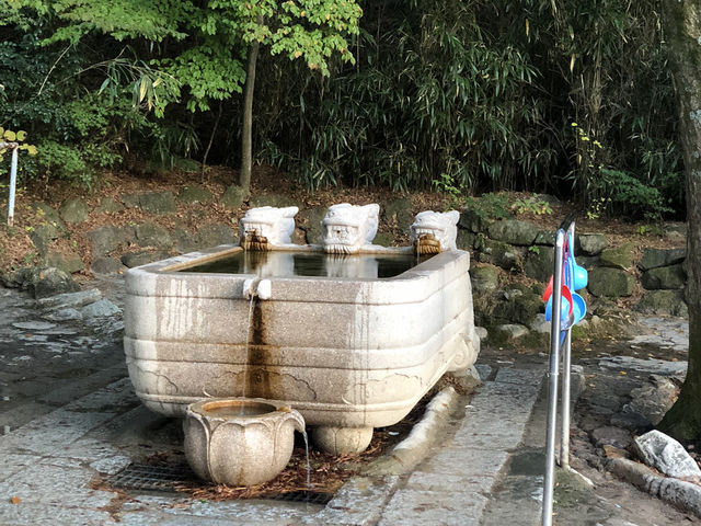 🛕 천년의 시간이 머문 곳, 경주 불국사