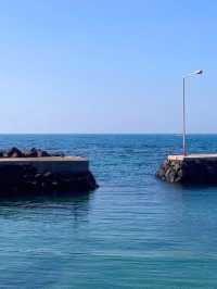 済州島でやりたいこと 7選🏝️