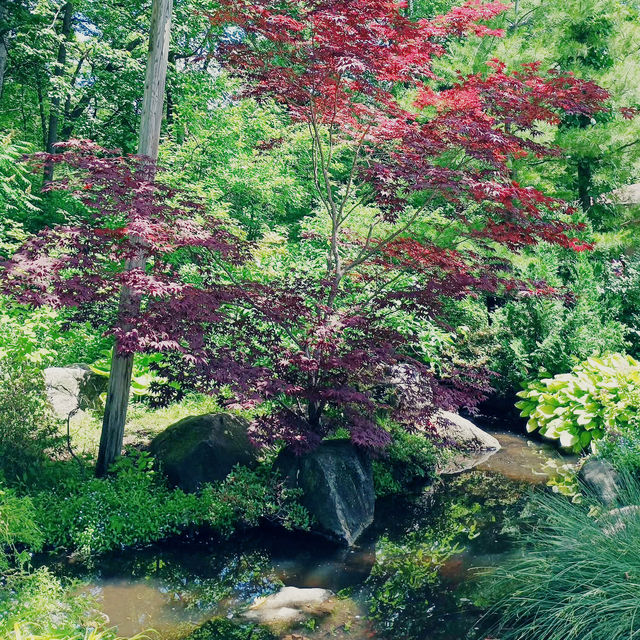 A Midwest Sanctuary: My Solo Day at Anderson Japanese Gardens, Rockford