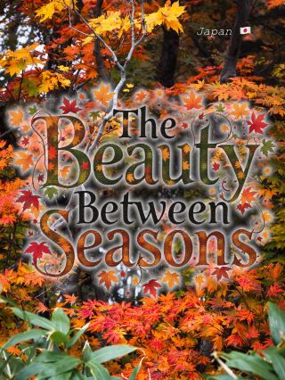 🍁 도호쿠: 2025년 10월 17~21일