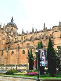 하늘을 향한 돌의 노래 살라망카대성당