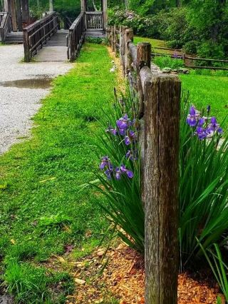 🍂🌿 Moore State Park (Paxton, Massachusetts) – A Hidden New England Gem