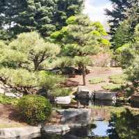 The Soloist's Mile-High Zen: Shofu-en Revisited